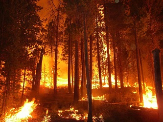 Single Parent Impact In The Fire