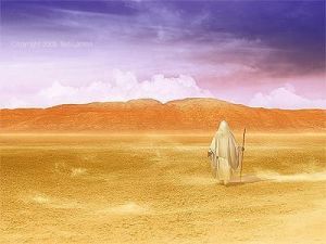 Seeing Through The Trial